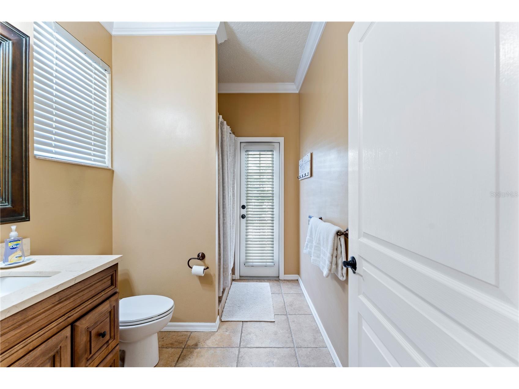 8715 Hidden Green Lane Tampa FL 33647 TB8497951 image43