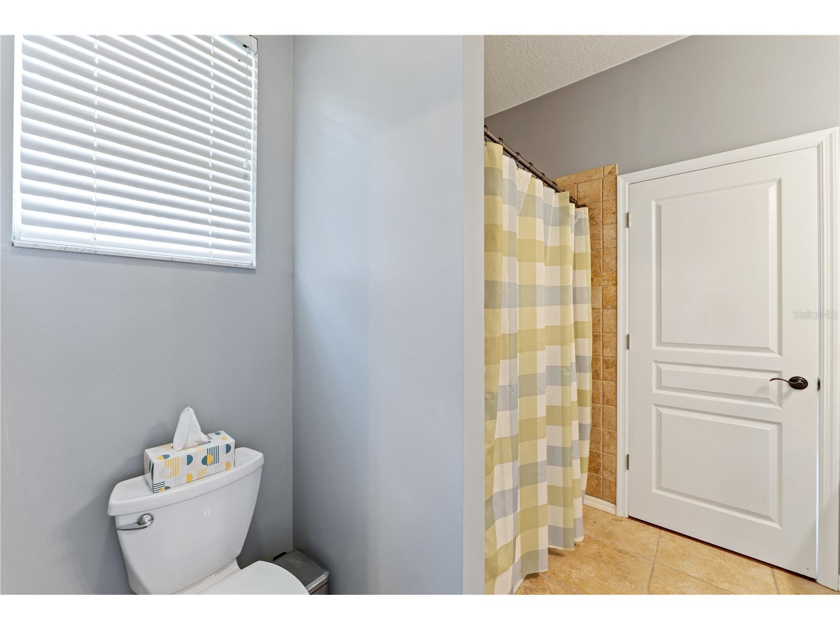 8715 Hidden Green Lane Tampa FL 33647 TB8497951 image52