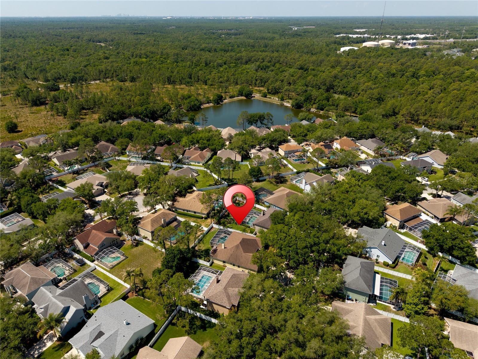 8715 Hidden Green Lane Tampa FL 33647 TB8497951 image81