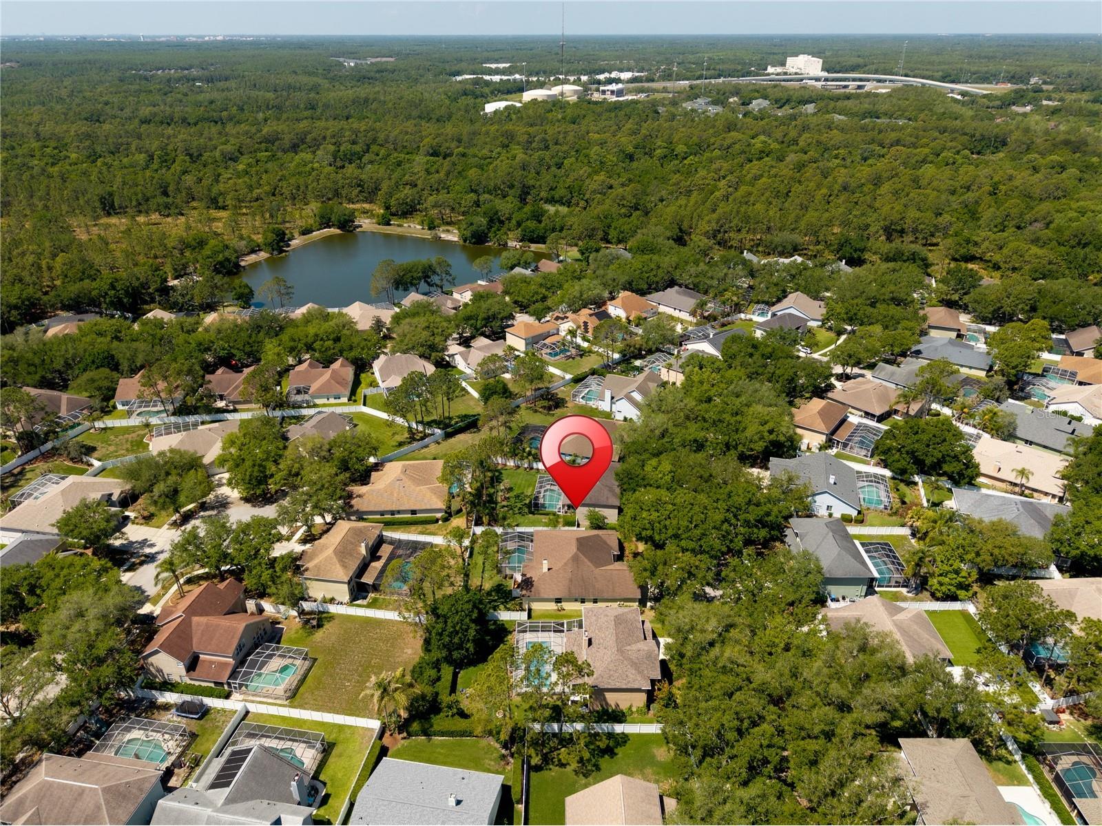 8715 Hidden Green Lane Tampa FL 33647 TB8497951 image82