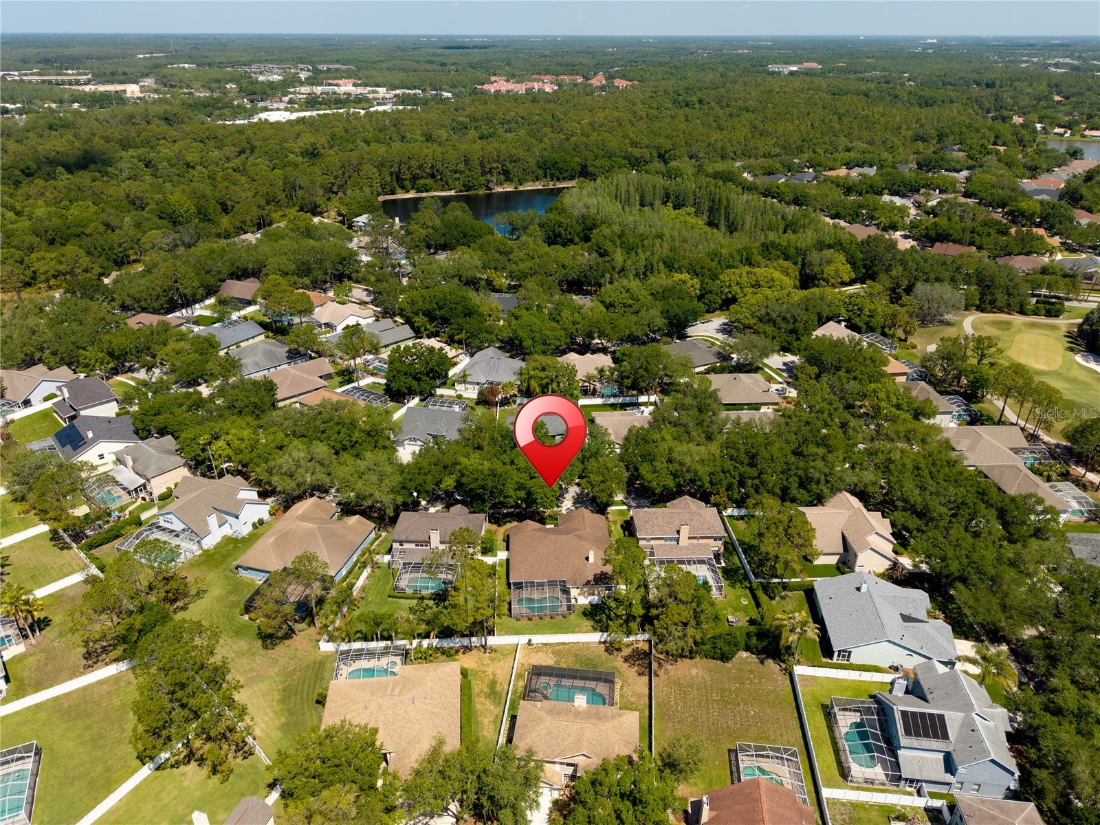 8715 Hidden Green Lane Tampa FL 33647 TB8497951 image83