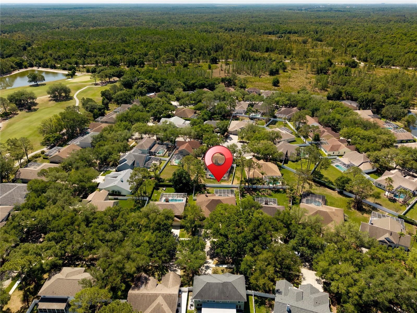 8715 Hidden Green Lane Tampa FL 33647 TB8497951 image84