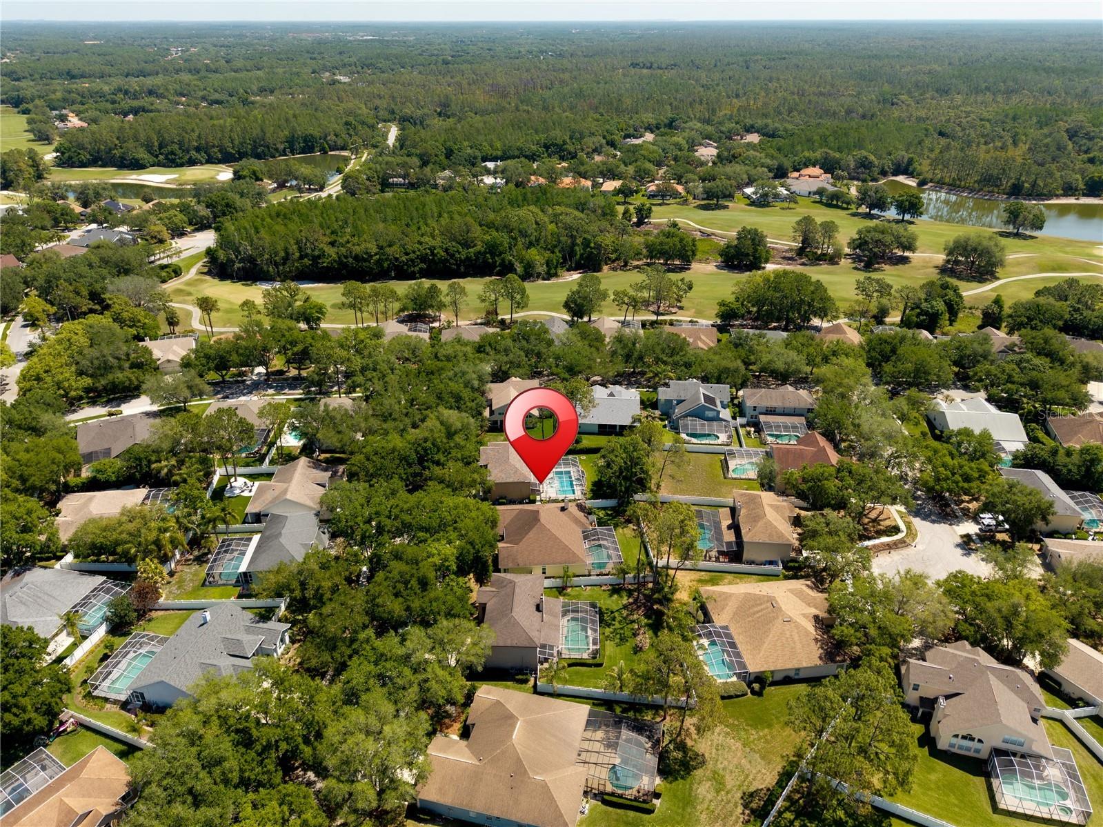 8715 Hidden Green Lane Tampa FL 33647 TB8497951 image85