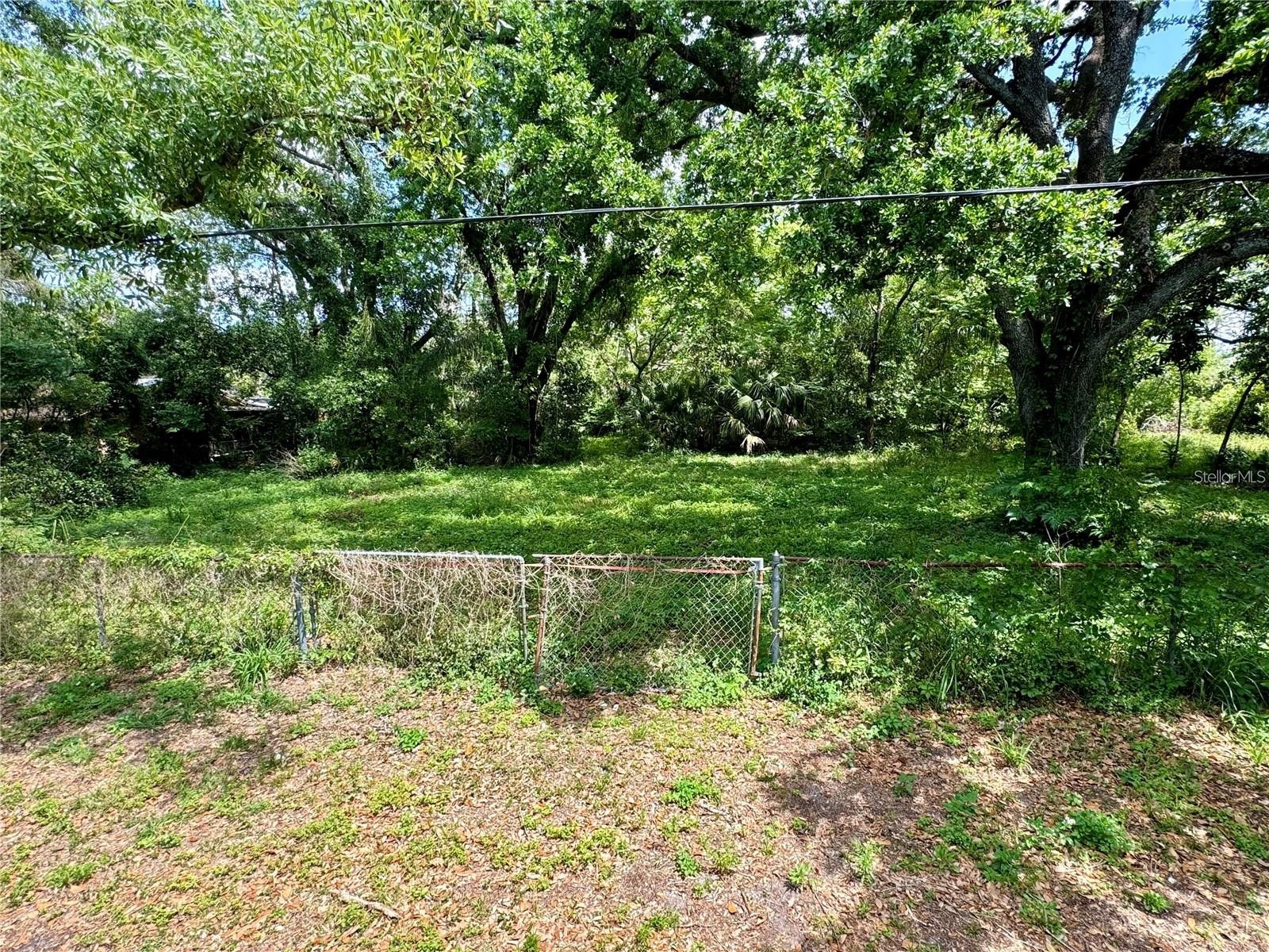8715 N Temple Avenue Tampa FL 33617 TB8510854 image3
