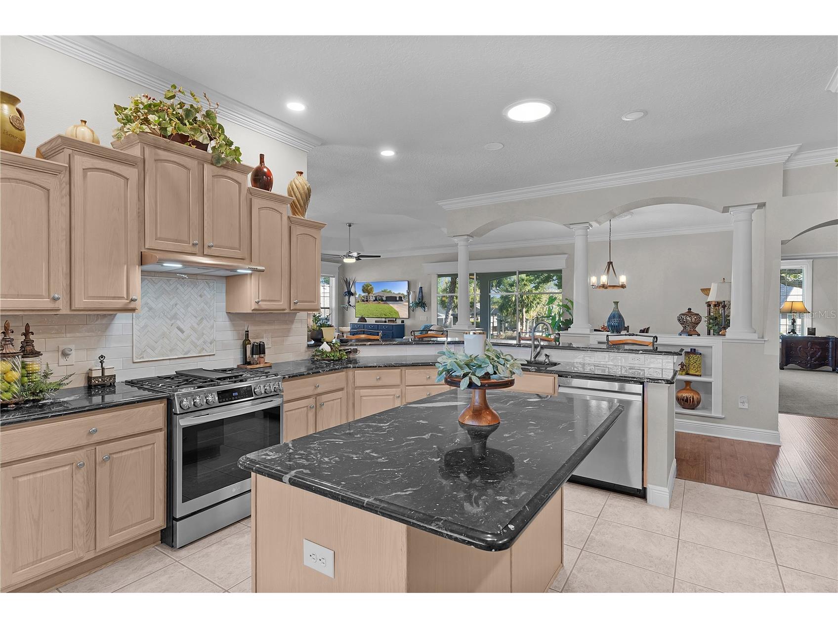 8715 SE 176th Lowndes Place The Villages FL 32162 R4911089 image7