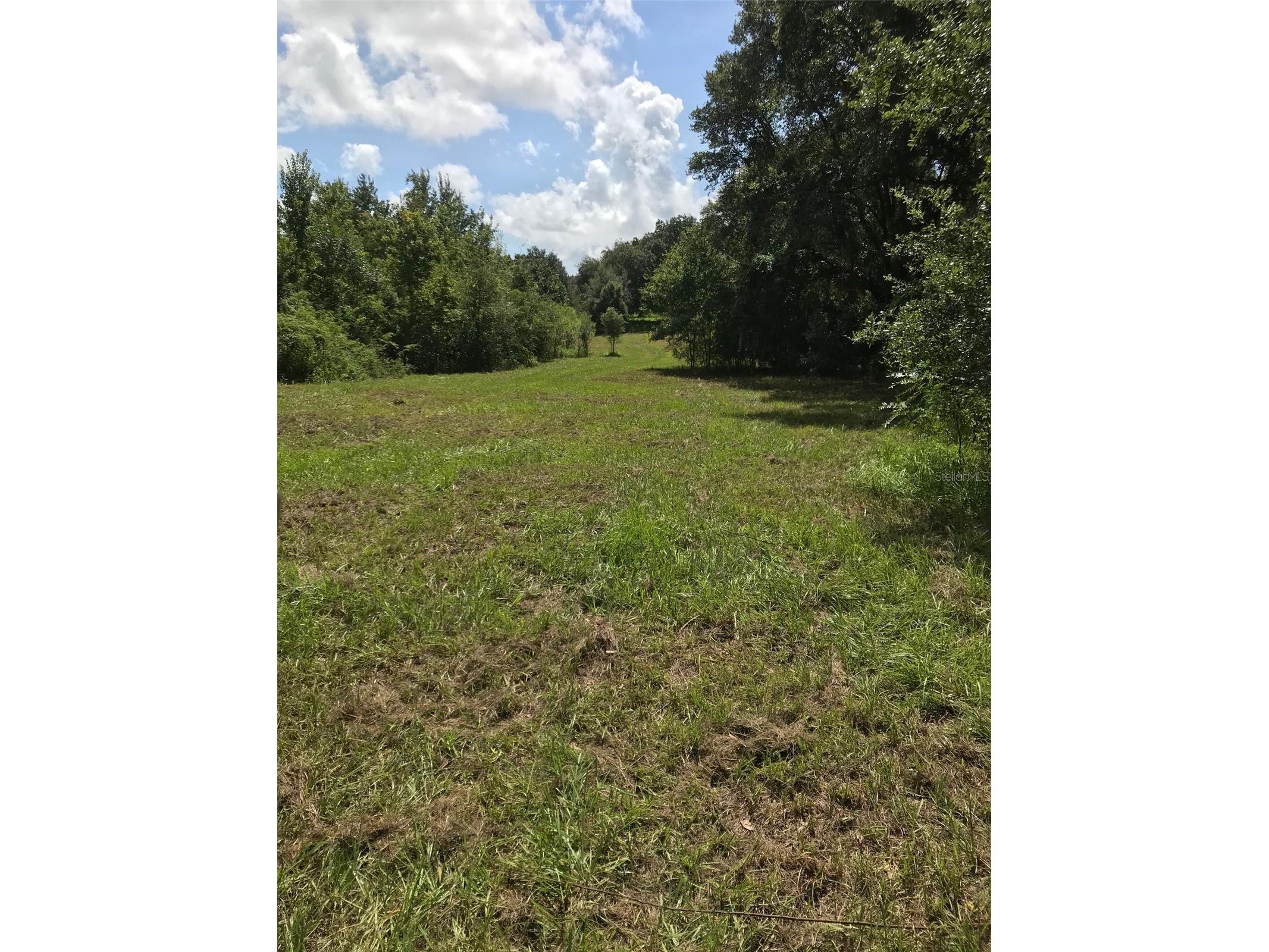 8715 State Road 33 Groveland FL 34736 G5099386 image1