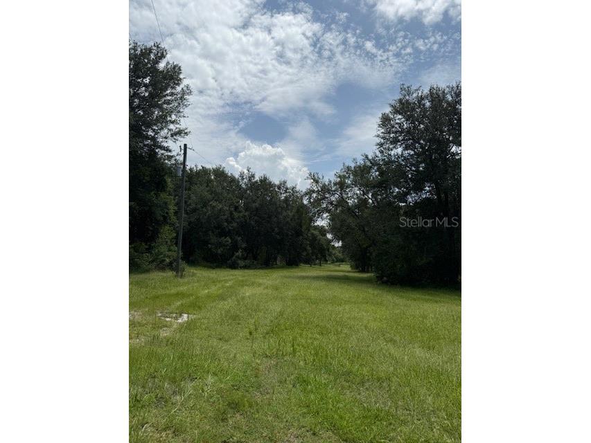 8715 State Road 33 Groveland FL 34736 G5099386 image3