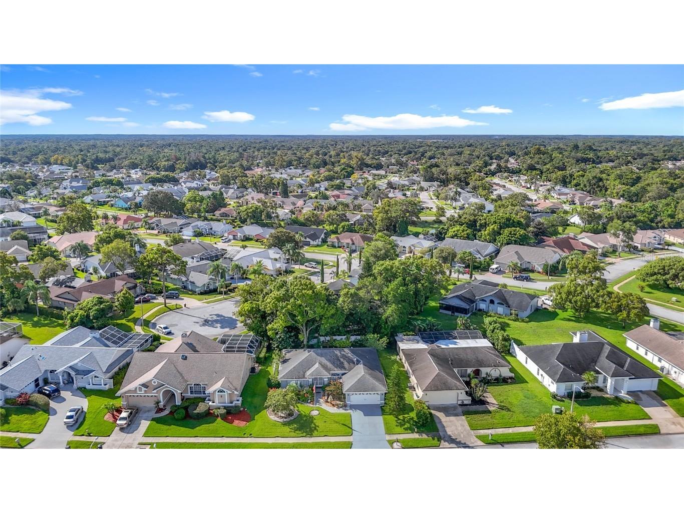 8716 Helmsly Lane Hudson FL 34667 W7878087 image75