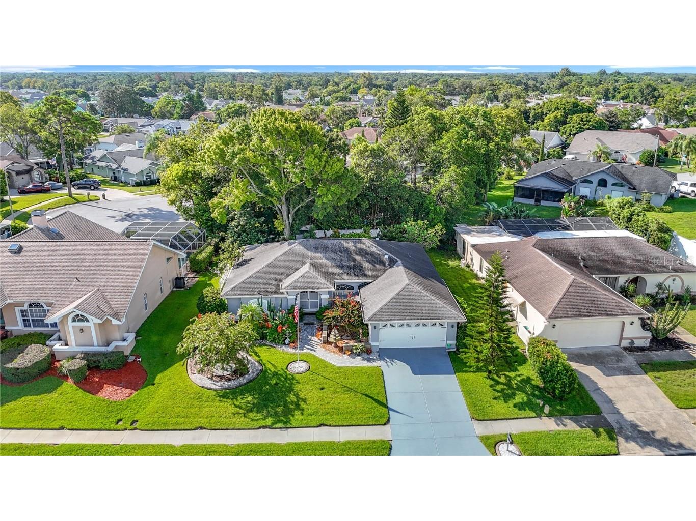 8716 Helmsly Lane Hudson FL 34667 W7878087 image76