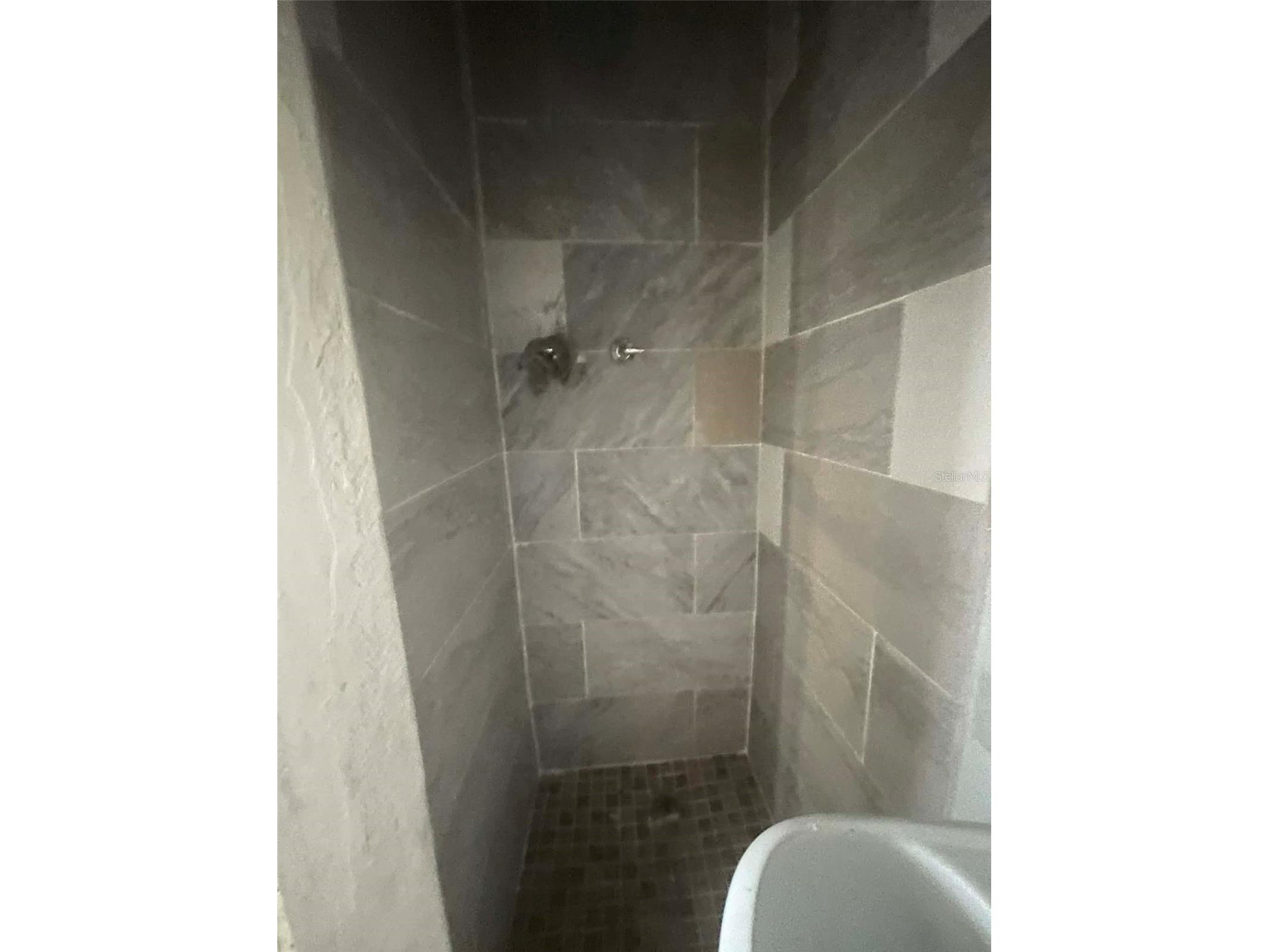 8716 N Tangerine Place Tampa FL 33617 TB8499926 image10