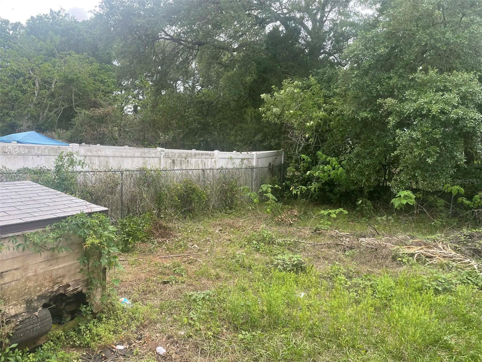 8716 N Tangerine Place Tampa FL 33617 TB8499926 image13