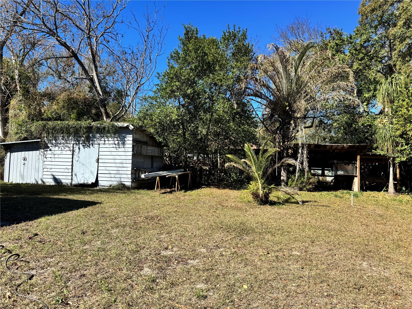 8716 N Temple Avenue Tampa FL 33617 TB8479492 image21