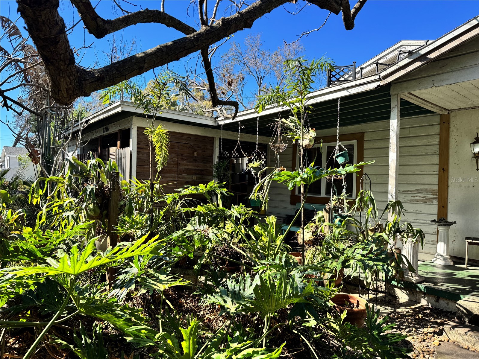 8716 N Temple Avenue Tampa FL 33617 TB8479492 image3