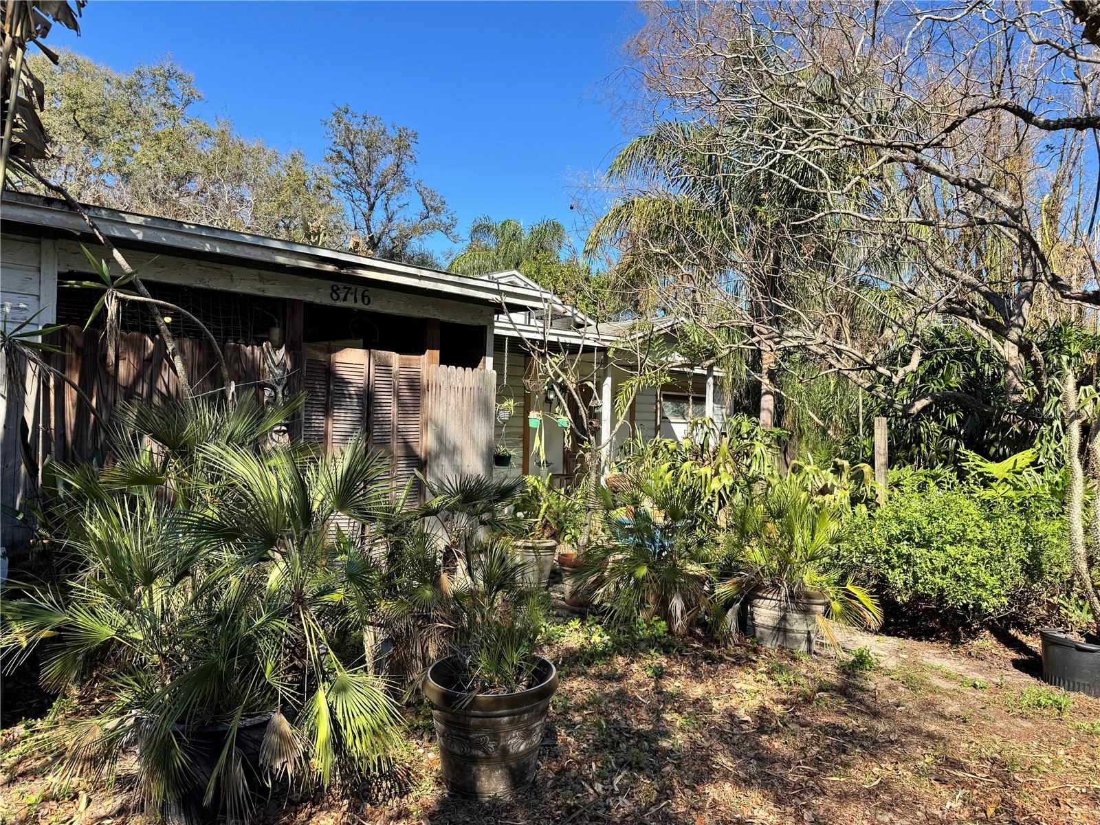 8716 N Temple Avenue Tampa FL 33617 TB8479492 image8