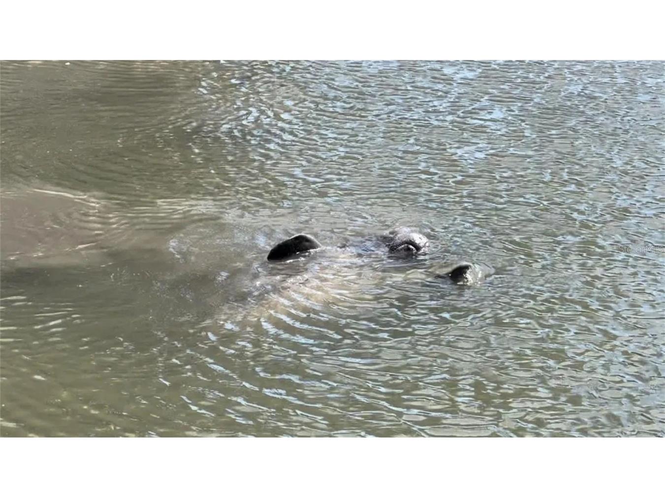 8717 Bay Pointe Drive Tampa FL 33615 - TAMPA BAY TB8433686 image31