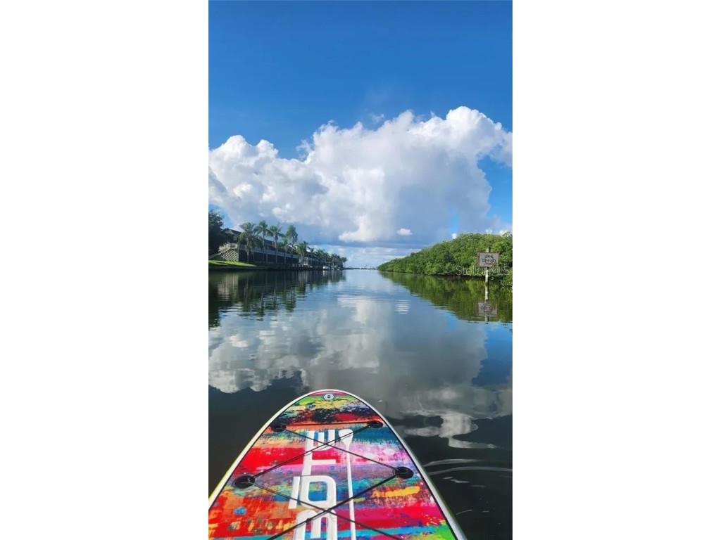 8717 Bay Pointe Drive Tampa FL 33615 - TAMPA BAY TB8433686 image39