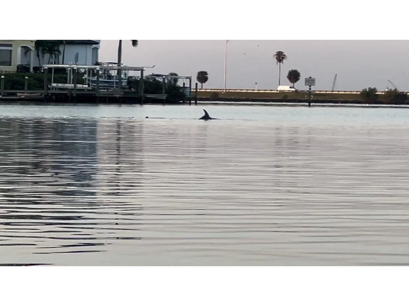 8717 Bay Pointe Drive Tampa FL 33615 - TAMPA BAY TB8433686 image40