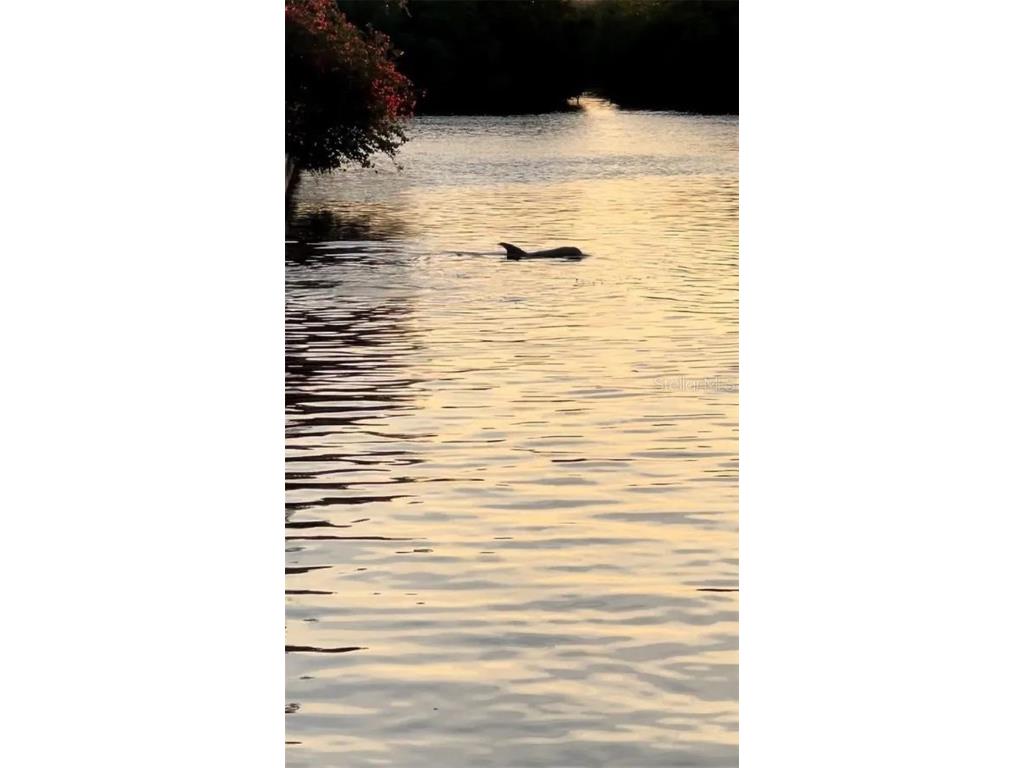 8717 Bay Pointe Drive Tampa FL 33615 - TAMPA BAY TB8433686 image41