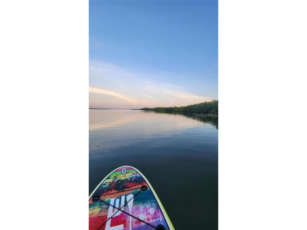 8717 Bay Pointe Drive Tampa FL 33615 - TAMPA BAY TB8433686 image42