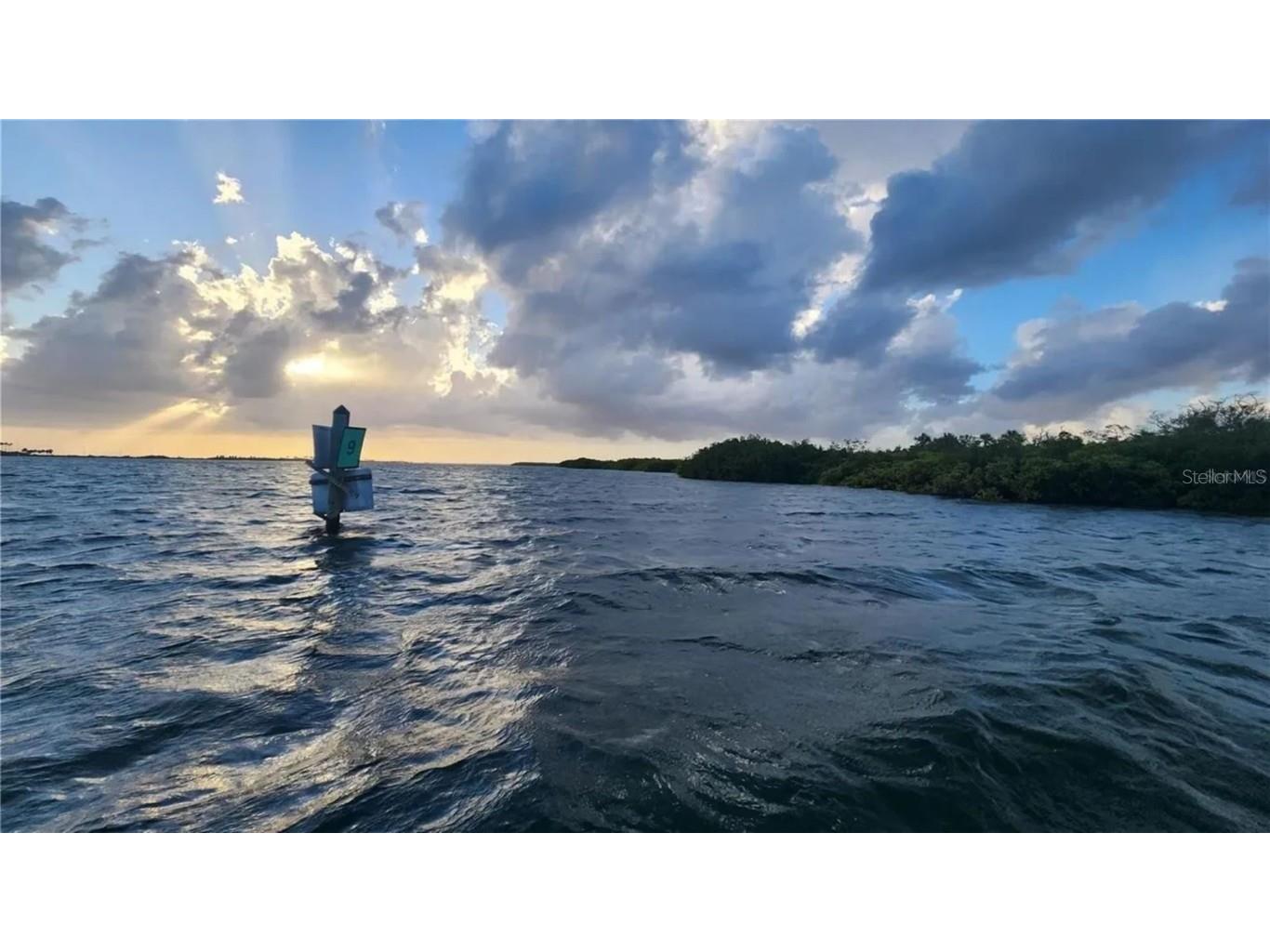 8717 Bay Pointe Drive Tampa FL 33615 - TAMPA BAY TB8433686 image43