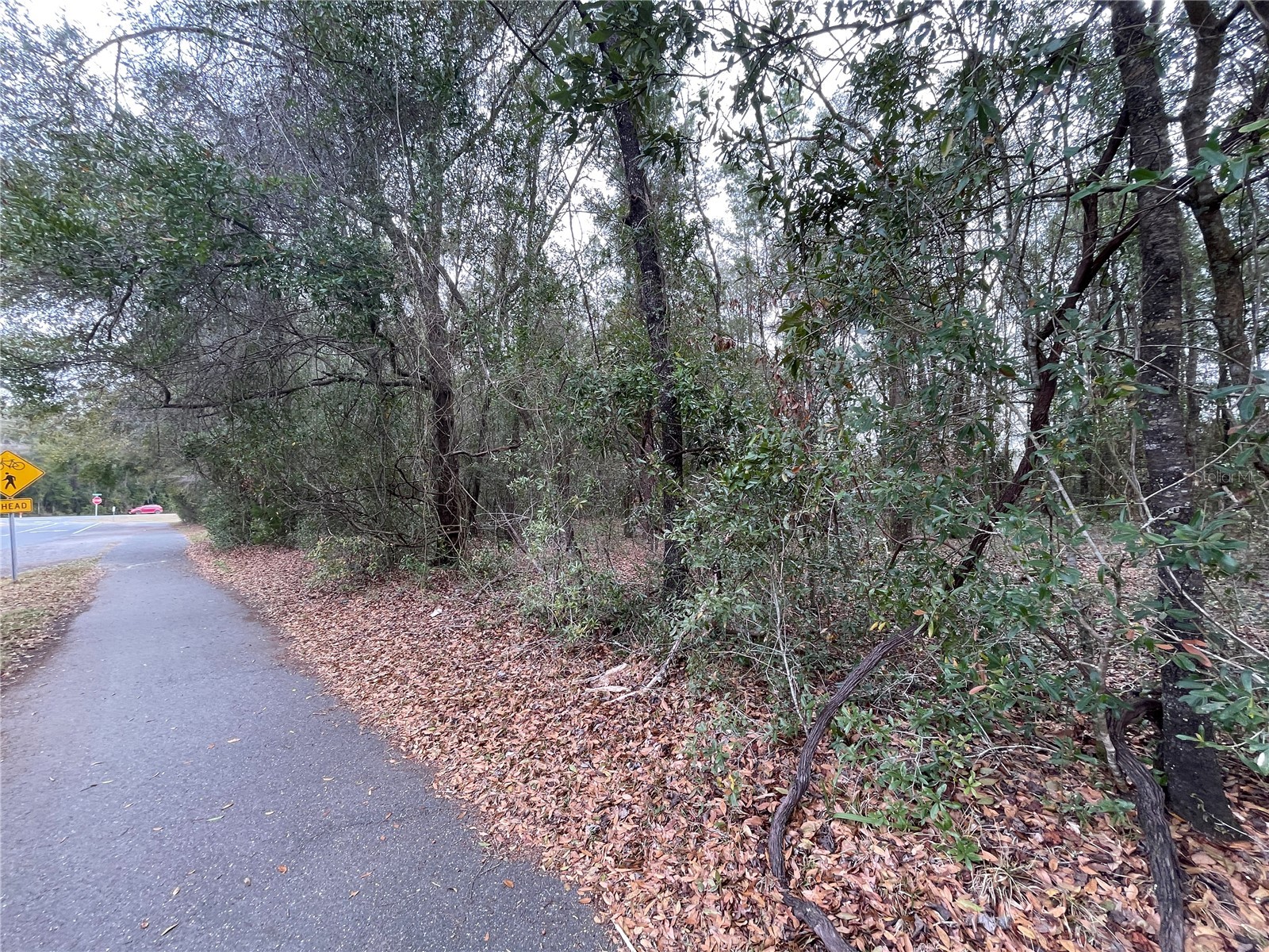 8717 SW Archer Road Gainesville FL 32608 GC537657 image13