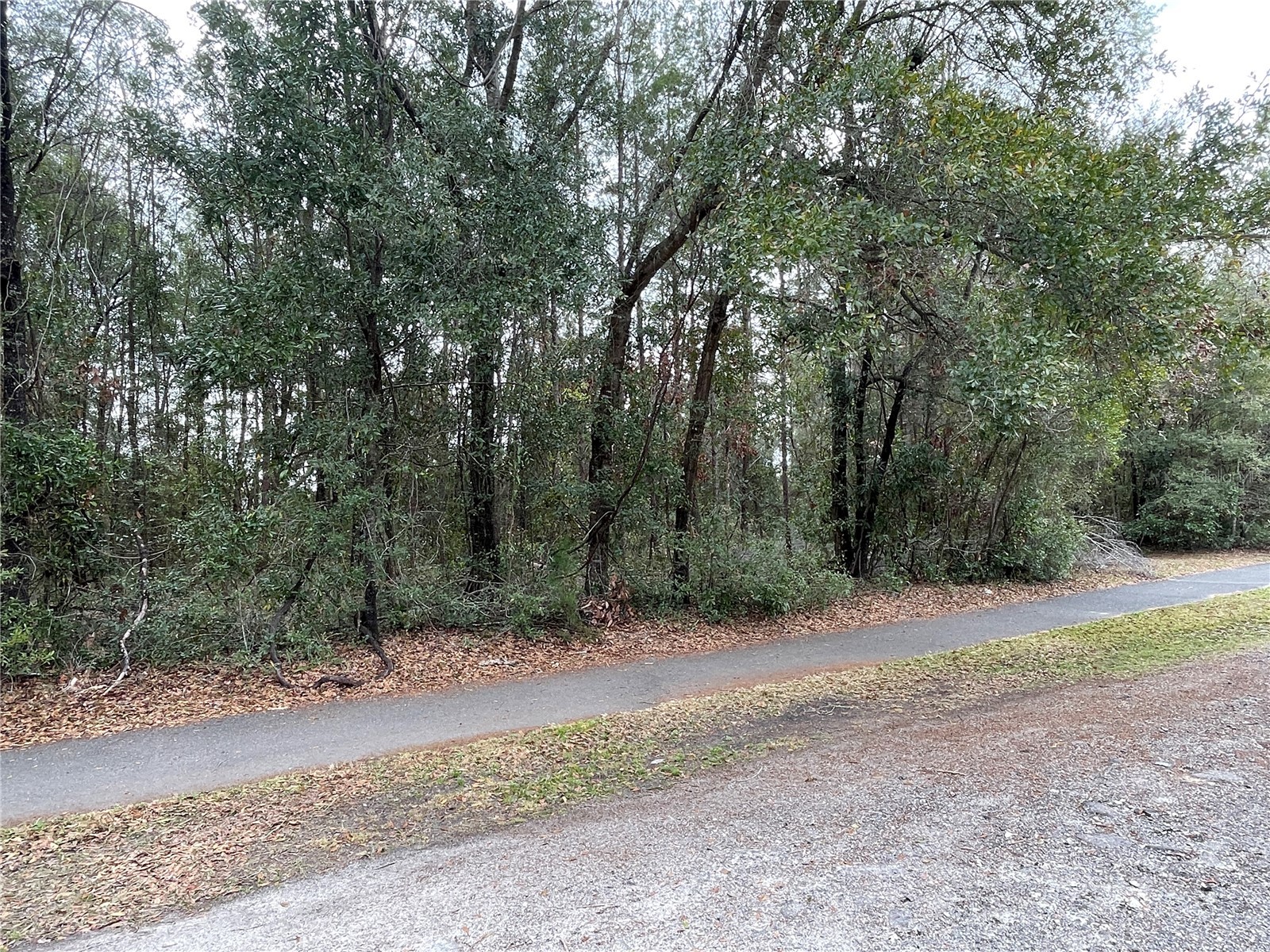 8717 SW Archer Road Gainesville FL 32608 GC537657 image17