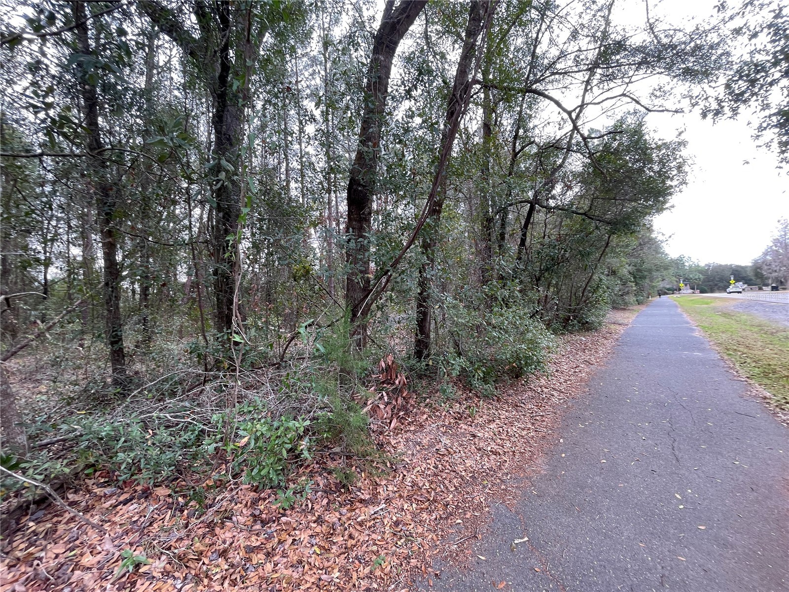 8717 SW Archer Road Gainesville FL 32608 GC537657 image22