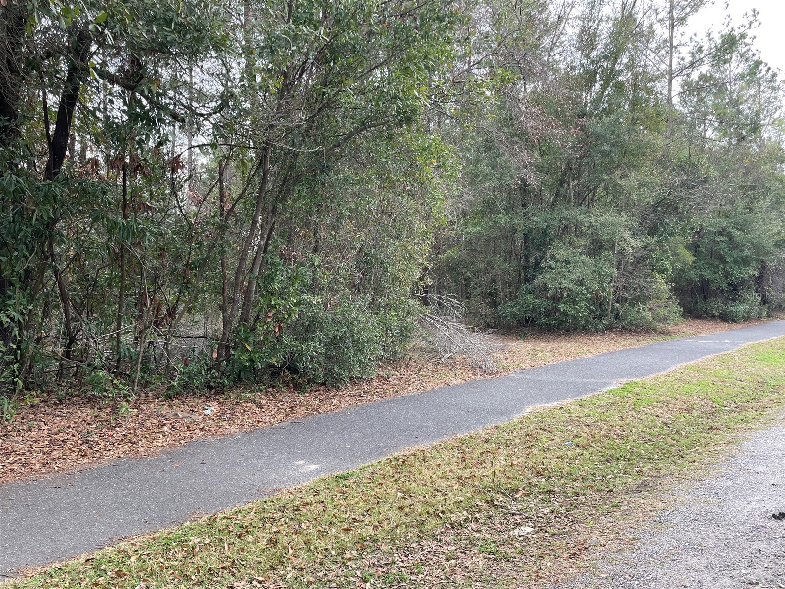 8717 SW Archer Road Gainesville FL 32608 GC537657 image24