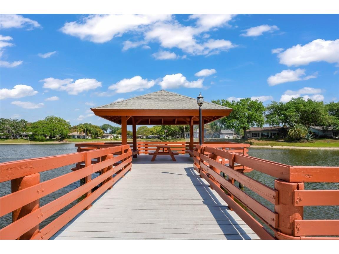 8718 Benton Drive Port Richey FL 34668 W7879940 image61