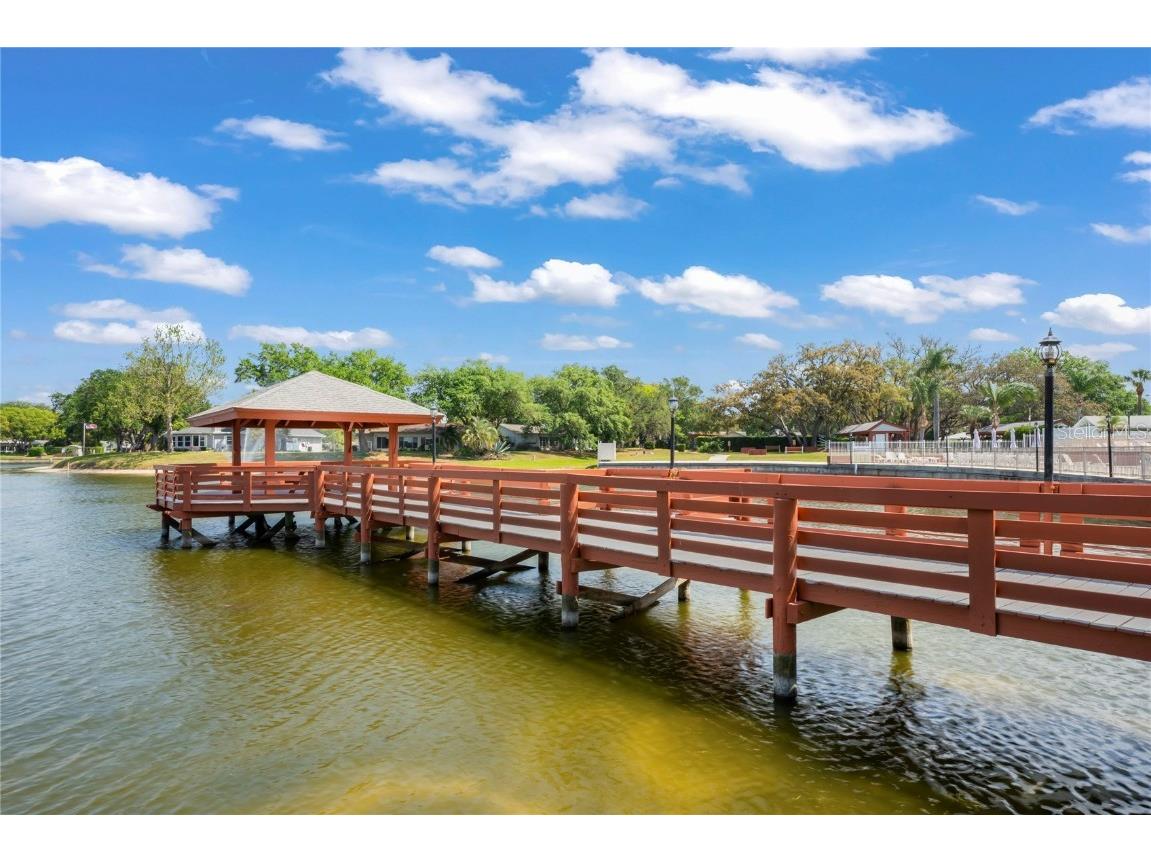 8718 Benton Drive Port Richey FL 34668 W7879940 image62