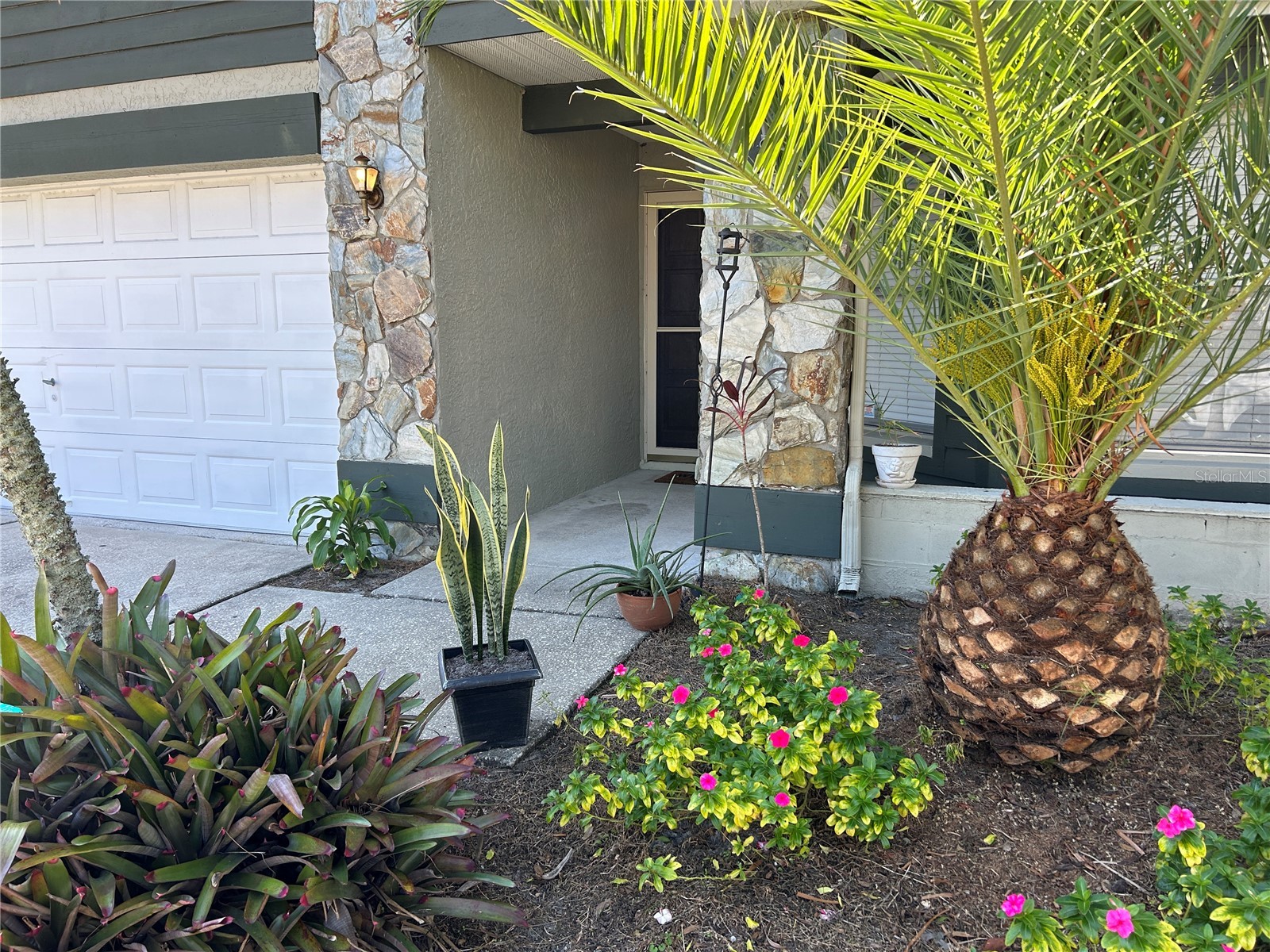 8718 Imperial Court Tampa FL 33635 TB8491712 image26