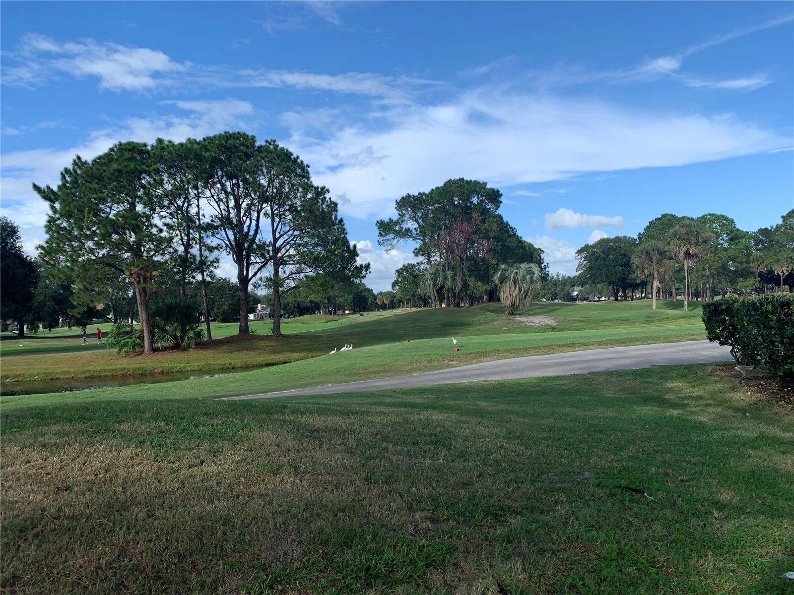 8718 Imperial Court Tampa FL 33635 TB8491712 image29