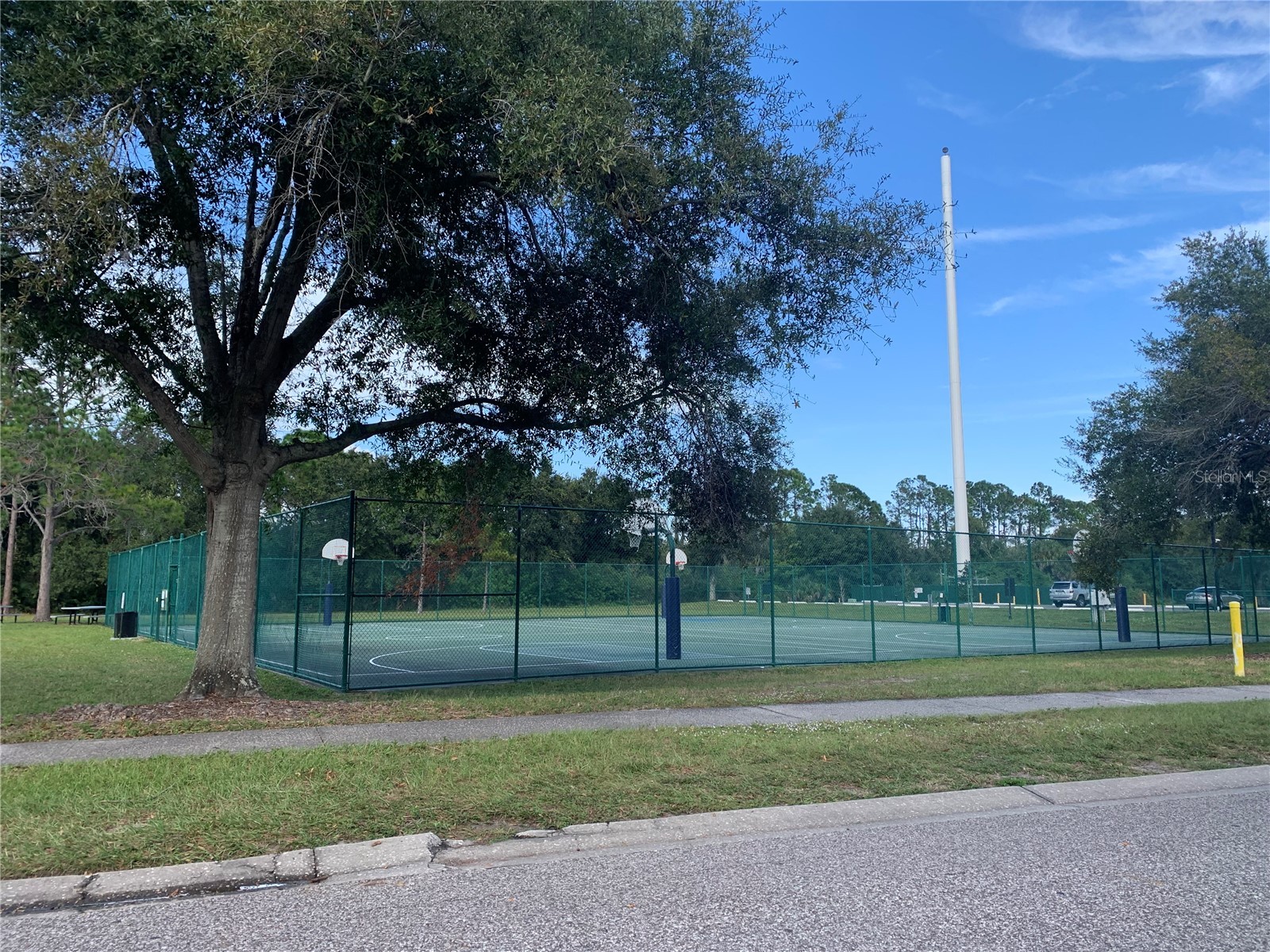 8718 Imperial Court Tampa FL 33635 TB8491712 image31