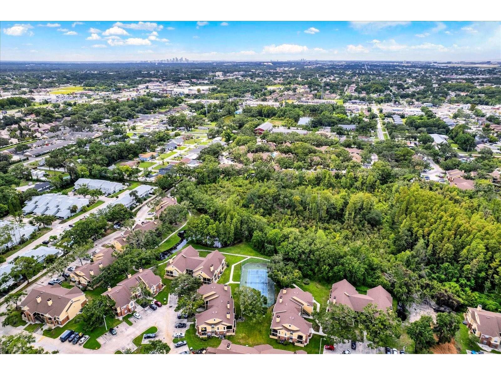 8718 Mallard Reserve Drive #104 Tampa FL 33614 TB8463531 image63