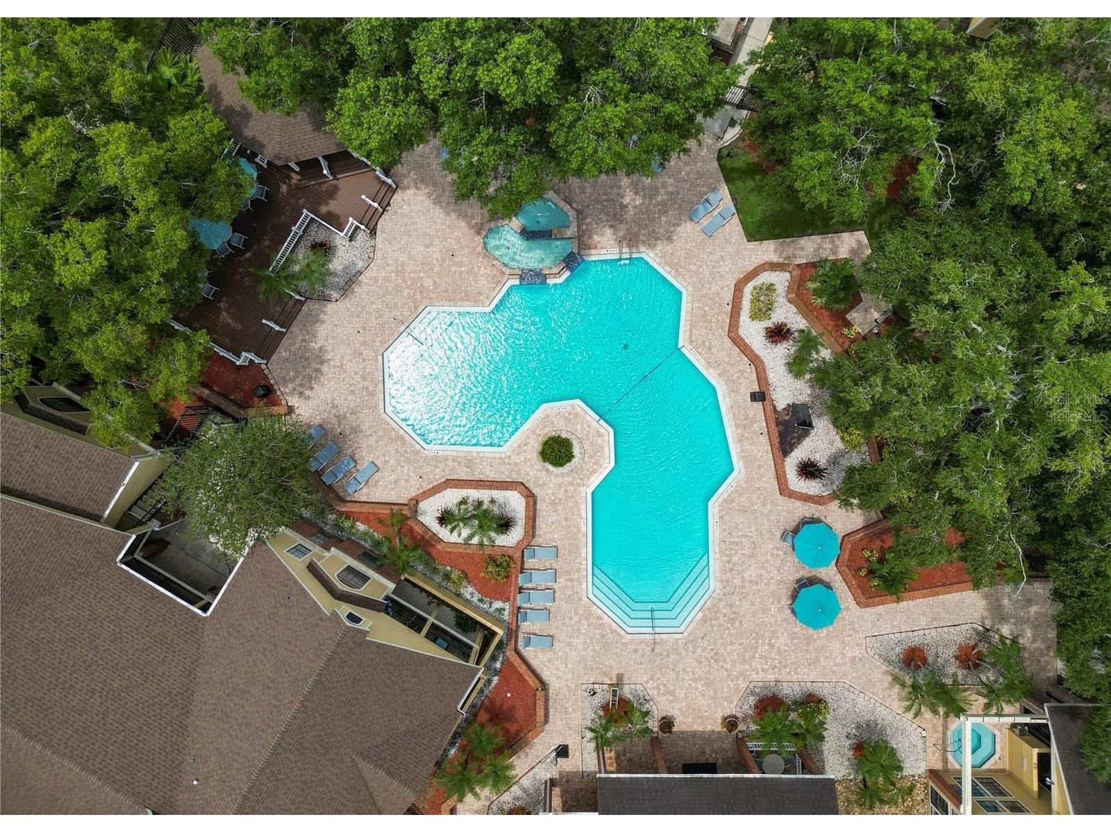 8718 Mallard Reserve Drive #104 Tampa FL 33614 TB8463531 image98