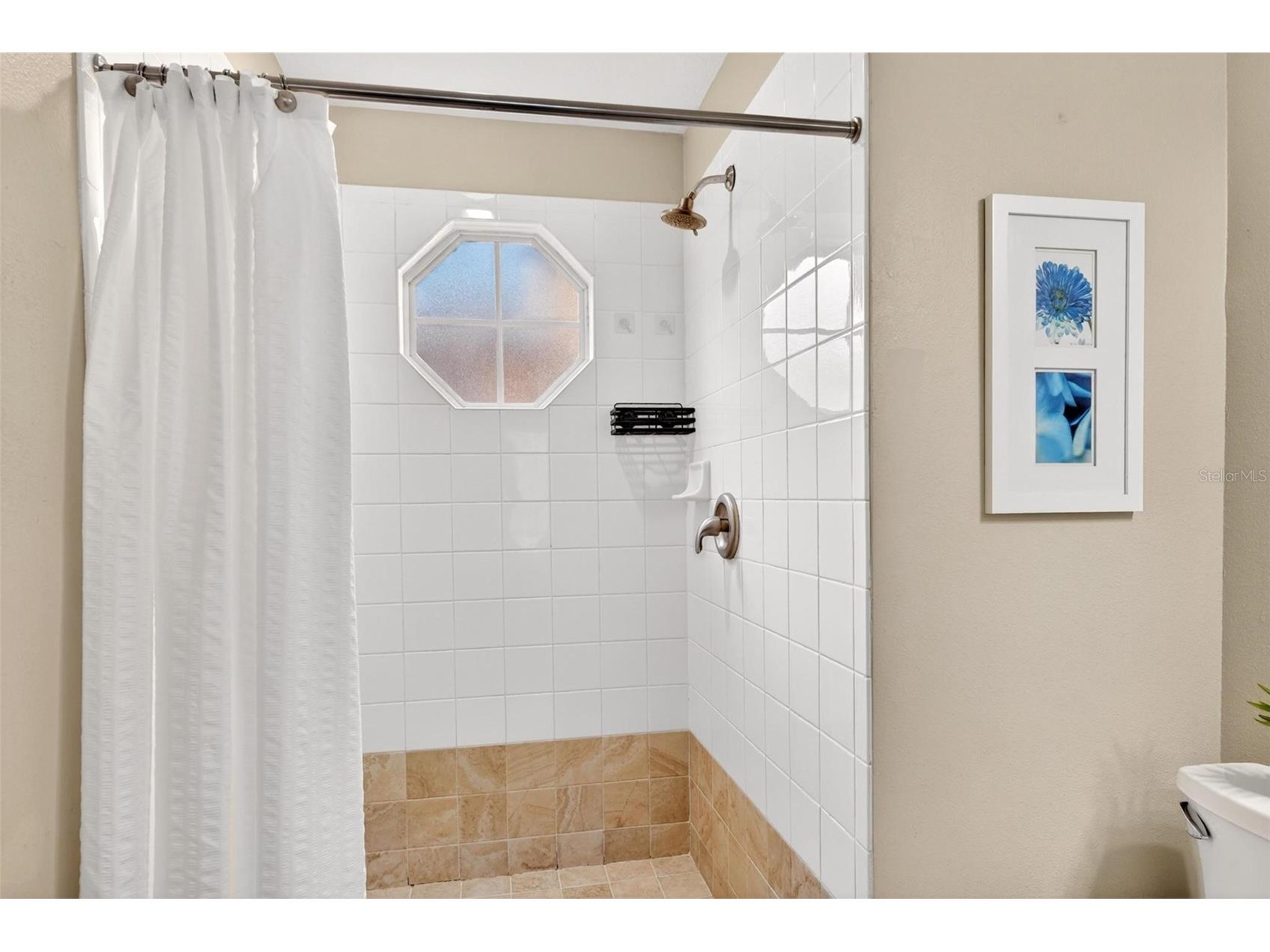 8718 Rain Forest Place #C Kissimmee FL 34747 O6408264 image41