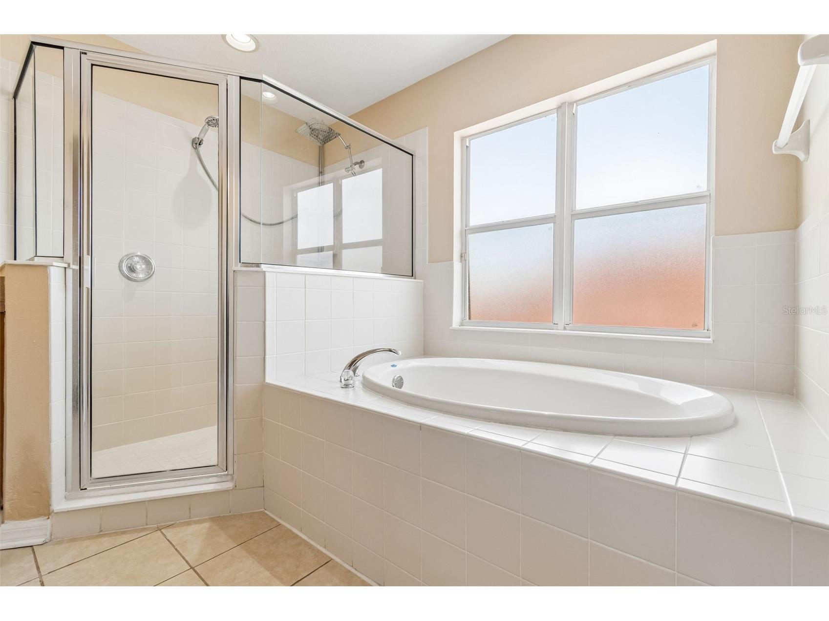 8718 Sandy Plains Drive Riverview FL 33578 TB8509736 image33