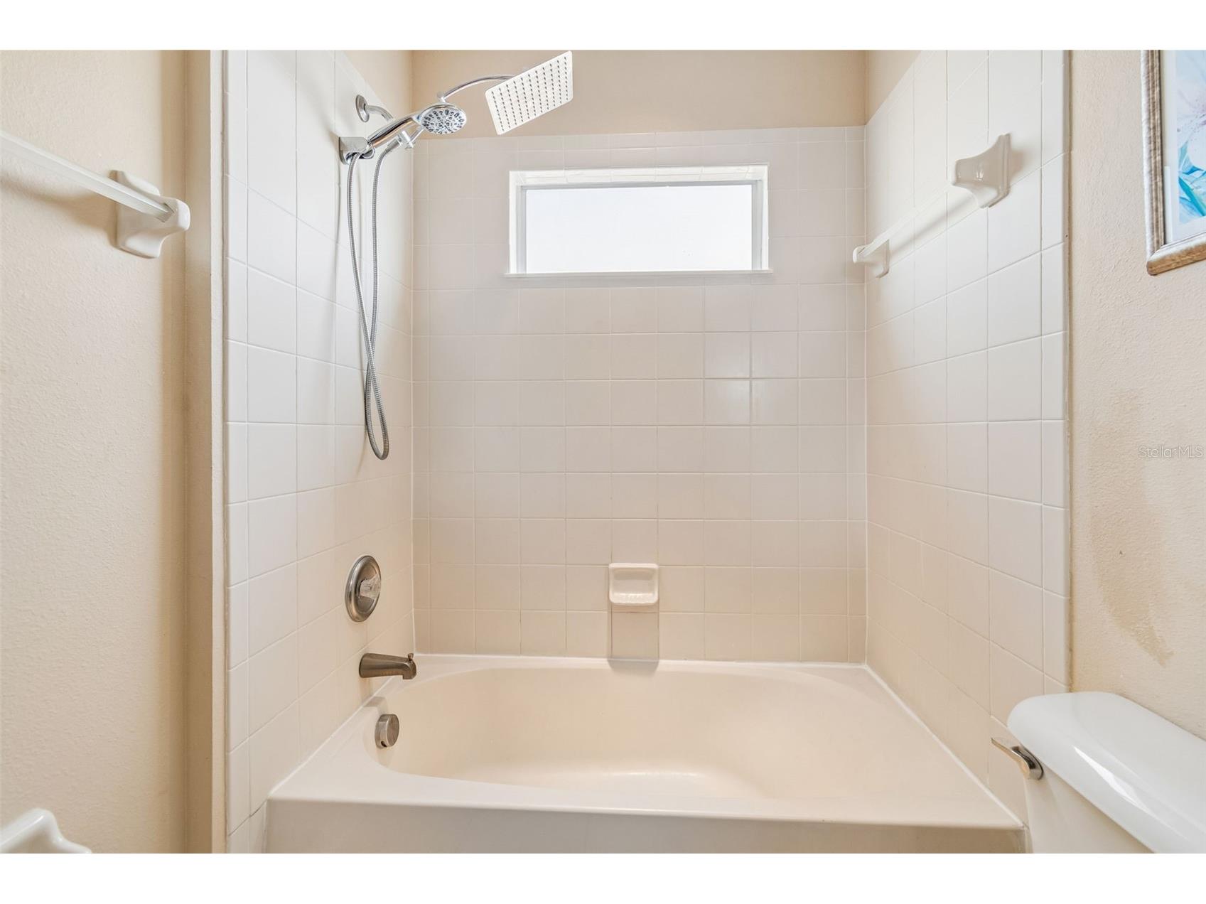 8718 Sandy Plains Drive Riverview FL 33578 TB8509736 image38