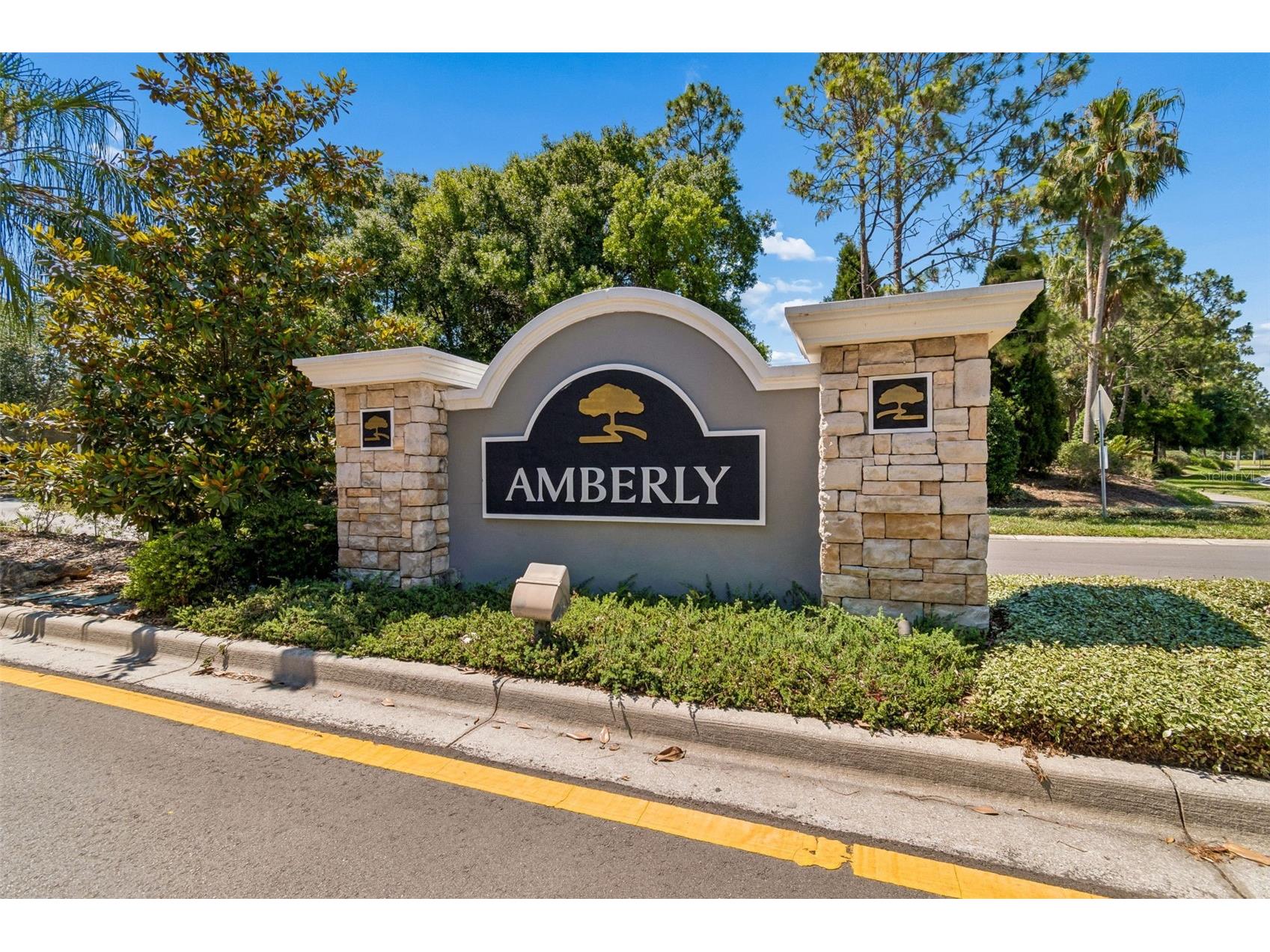 8718 Sandy Plains Drive Riverview FL 33578 TB8509736 image63