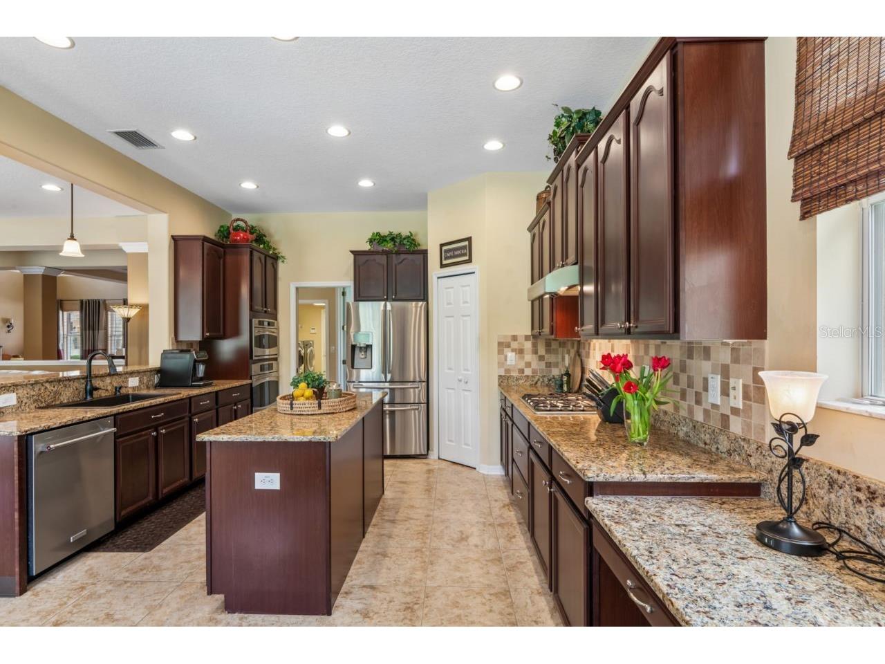8719 Creedmoor Lane New Port Richey FL 34654 W7885543 image15