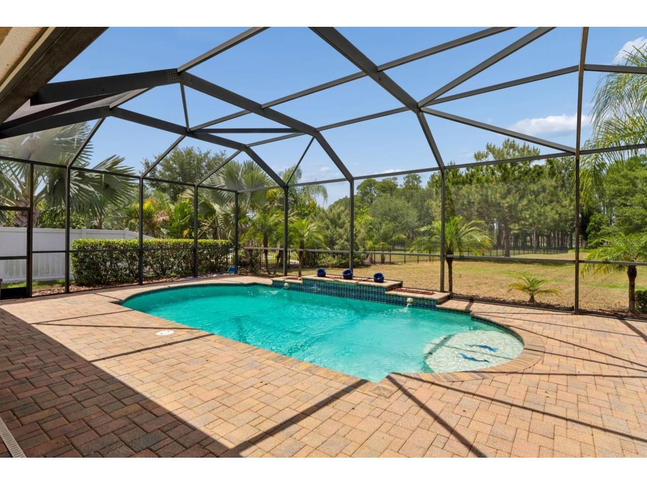 8719 Creedmoor Lane New Port Richey FL 34654 W7885543 image70