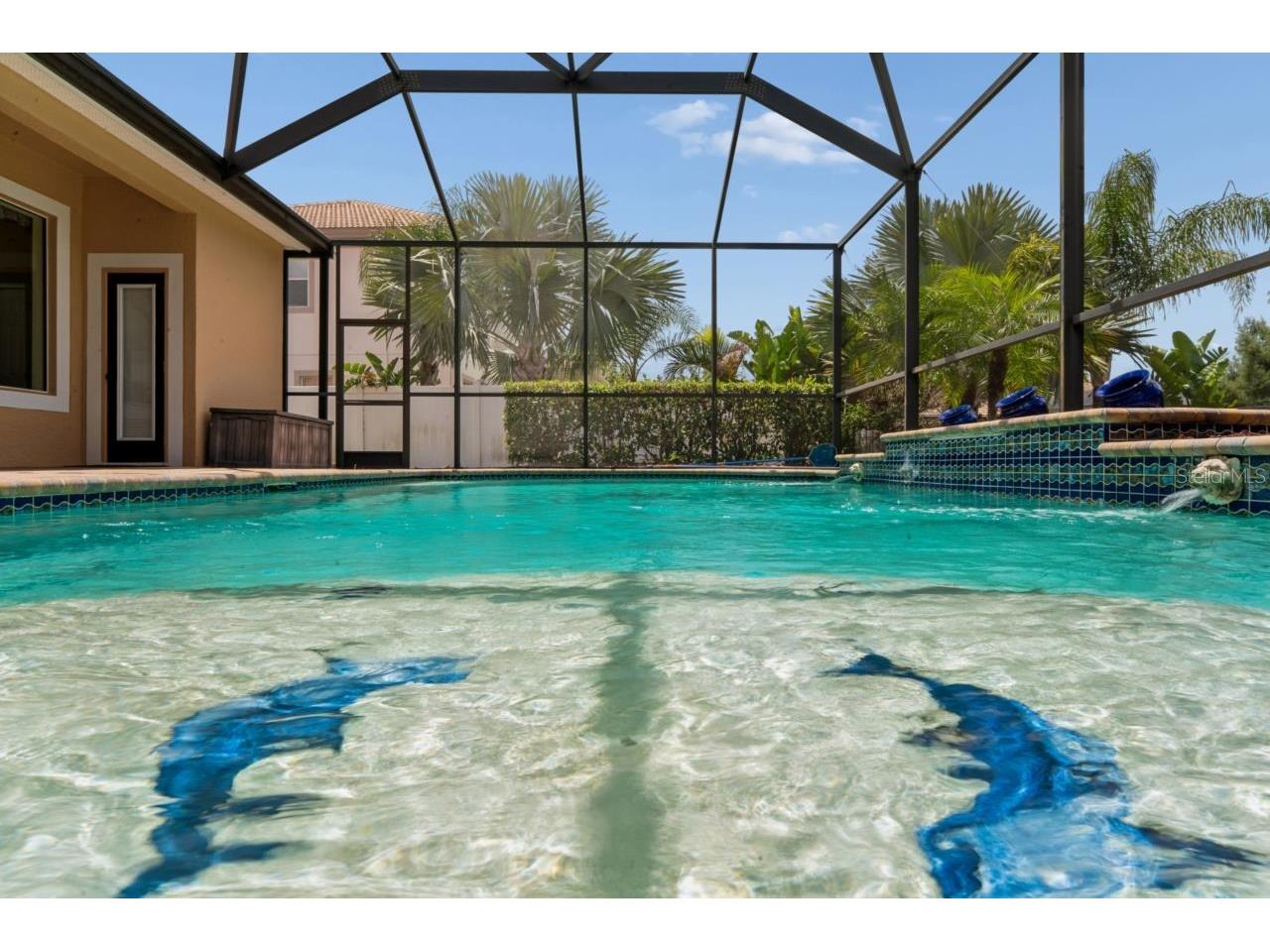 8719 Creedmoor Lane New Port Richey FL 34654 W7885543 image72