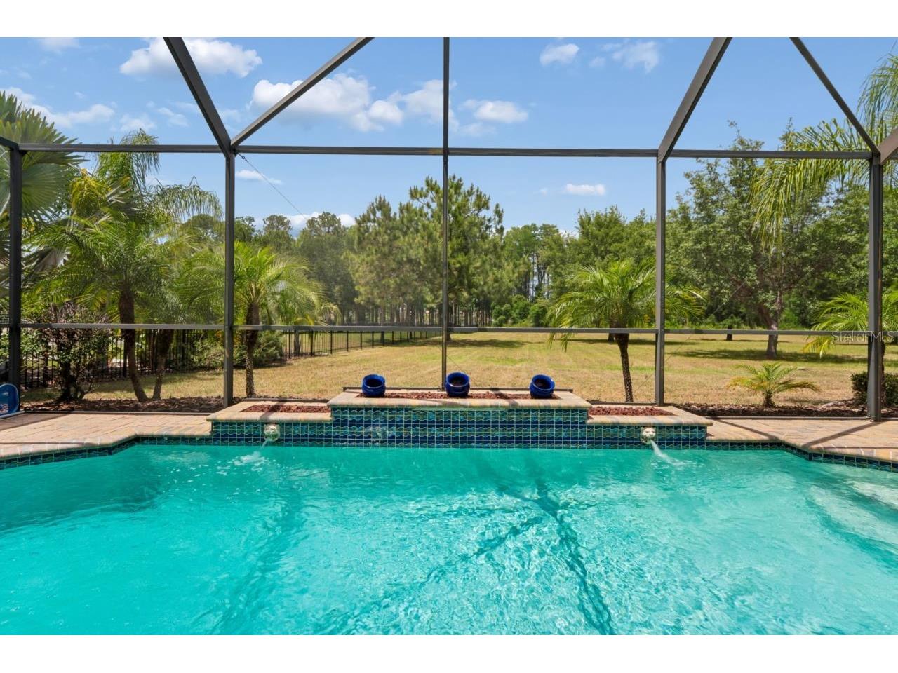 8719 Creedmoor Lane New Port Richey FL 34654 W7885543 image75
