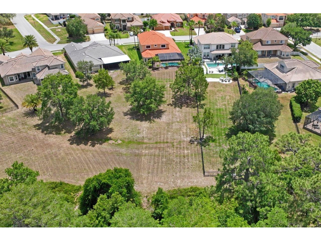 8719 Creedmoor Lane New Port Richey FL 34654 W7885543 image79