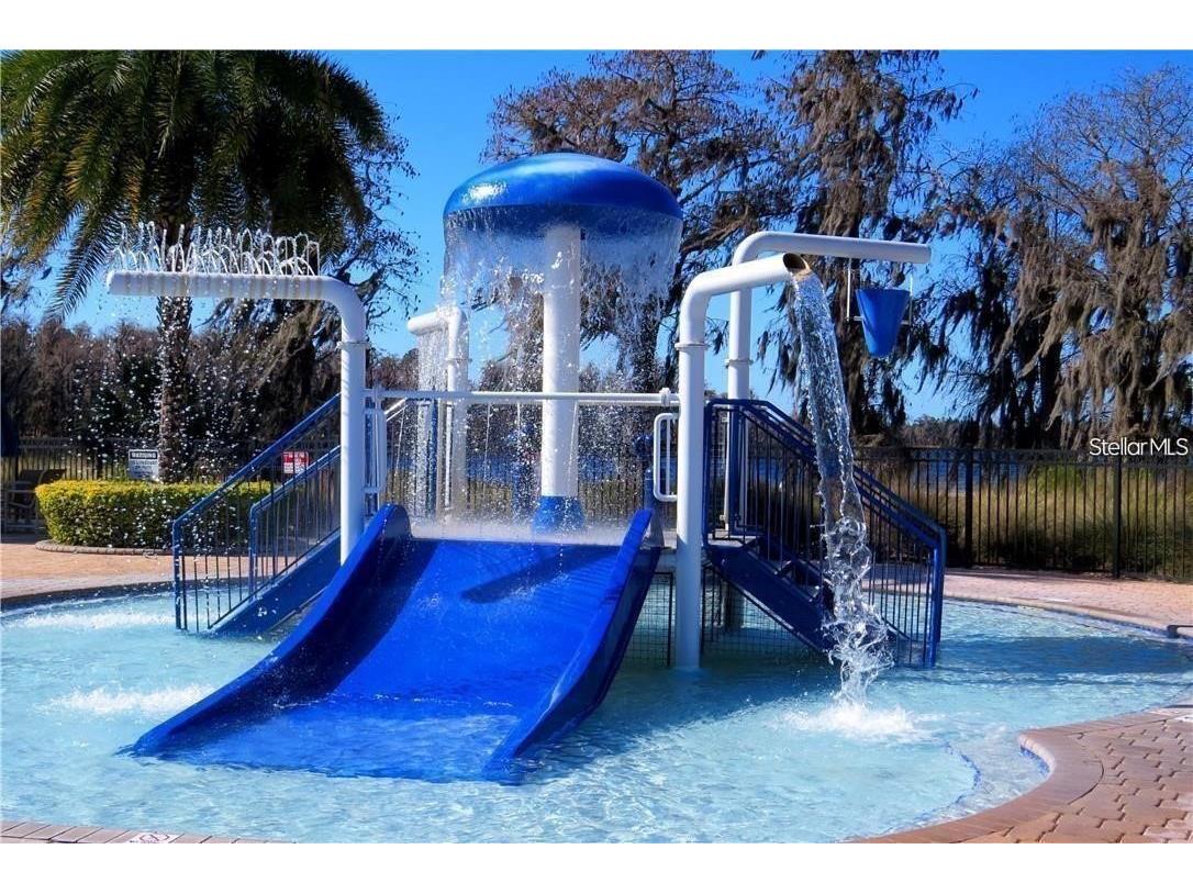 8719 Creedmoor Lane New Port Richey FL 34654 W7885543 image96