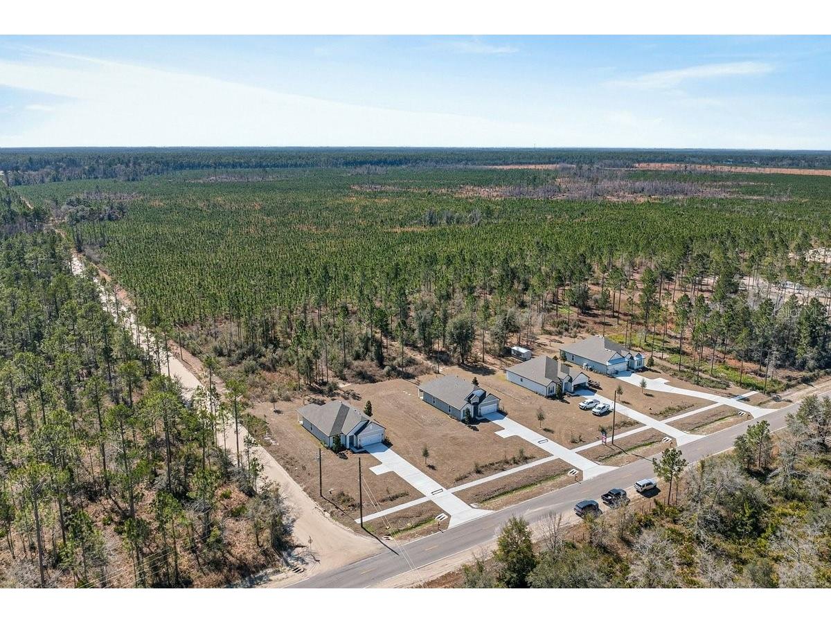 8719 Ford Road Bryceville FL 32009 V4947687 image45