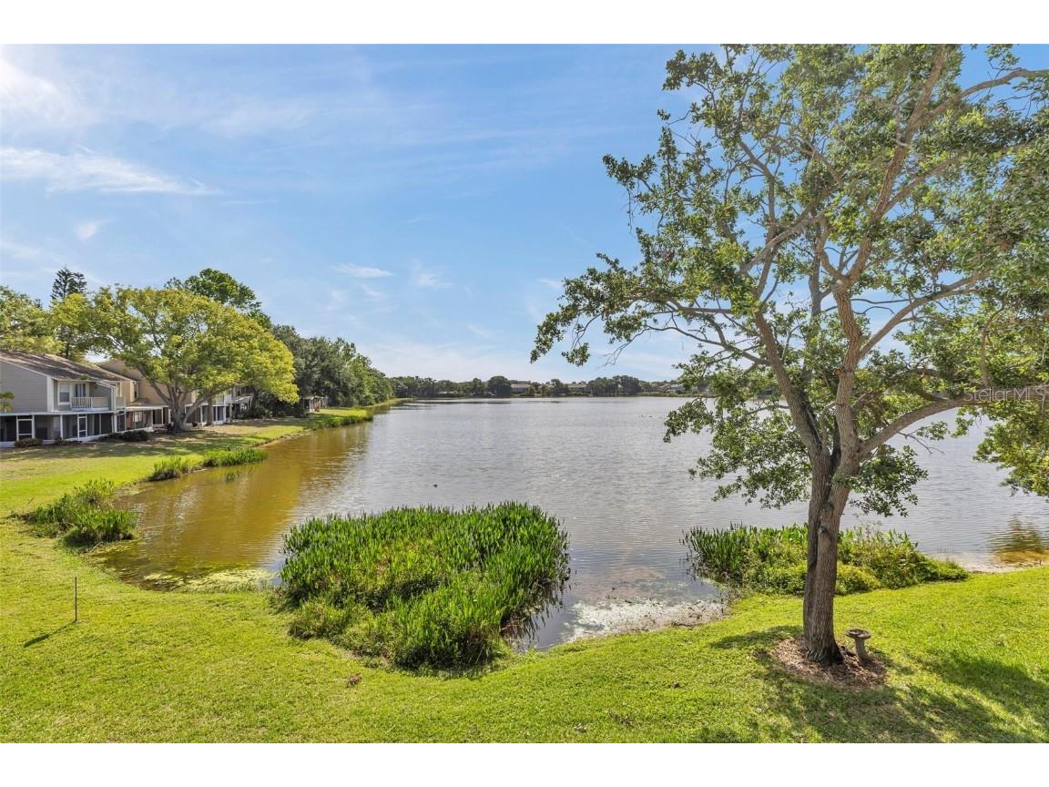 8719 Lake Place Lane Tampa FL 33634 - LAKE PLACE TB8374531 image1