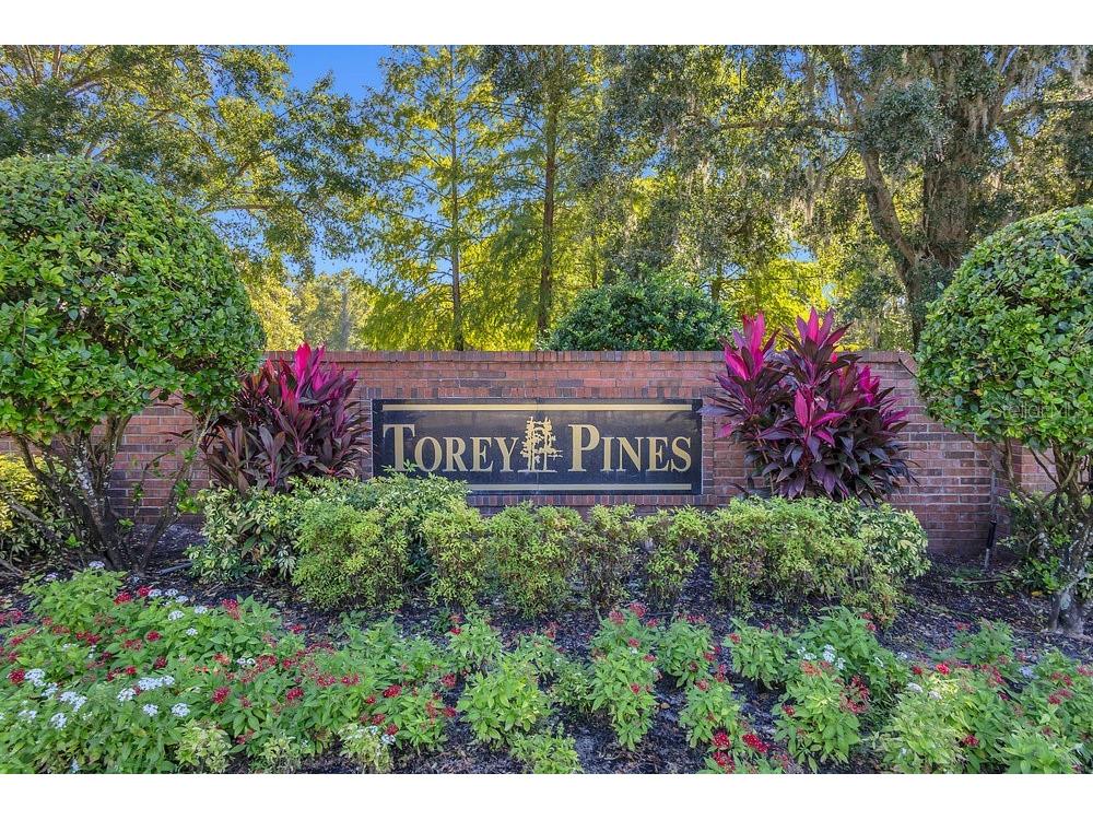 8719 Summerville Place Orlando FL 32819 O6357250 image41