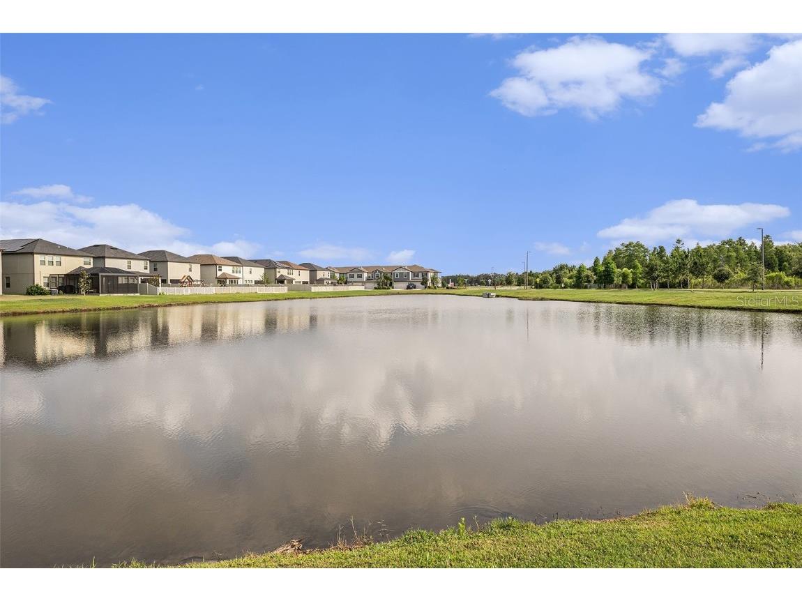 8719 Winning Fields Road New Port Richey FL 34655 TB8391352 image22