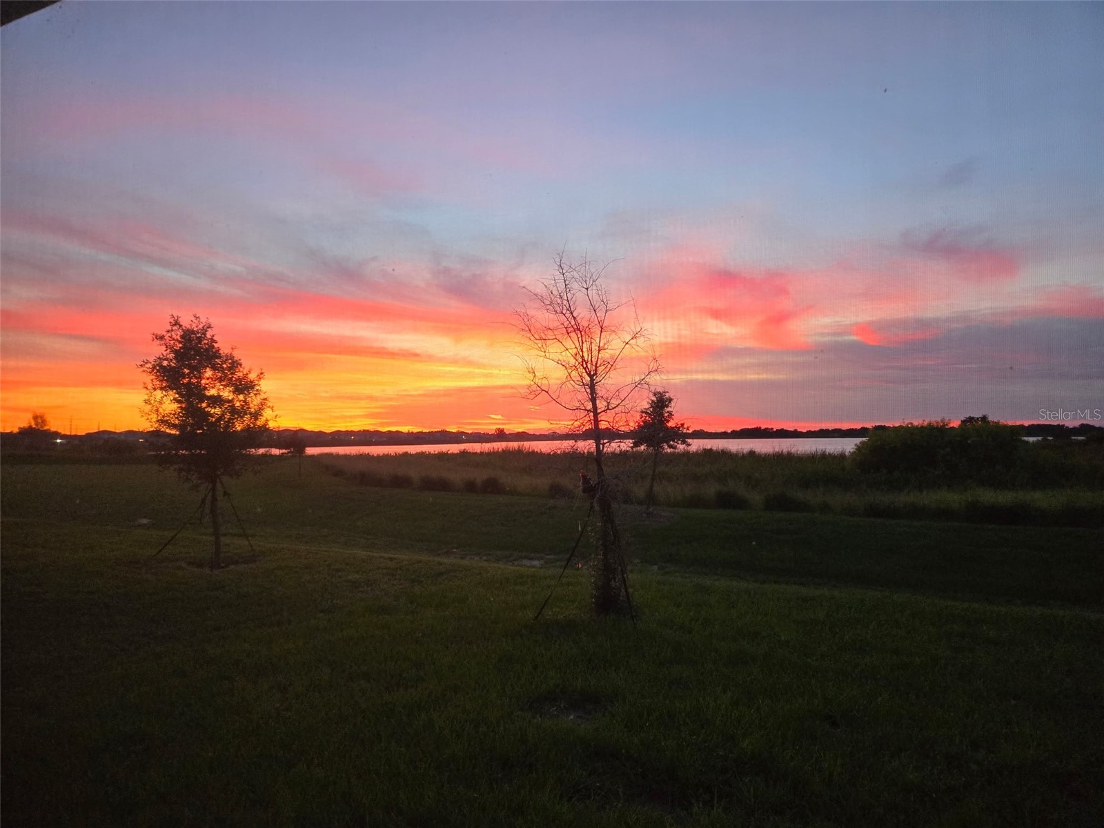 872 Griffon Avenue Lake Alfred FL 33850 - Grassy Lake G5110183 image1